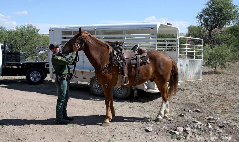 U.S. Border Patrol horse unit