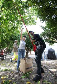 Refugee group looking for volunteers to harvest citrus