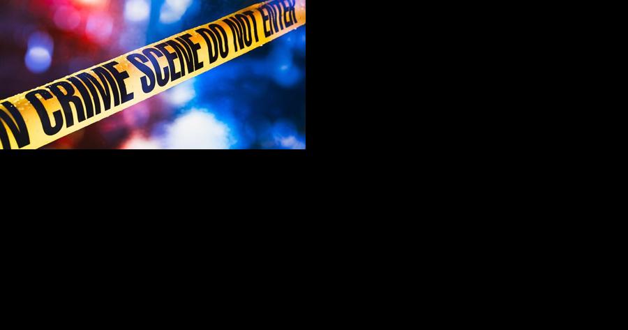 Records: Alleged intruder killed by woman was sex offender - Vimarsana News