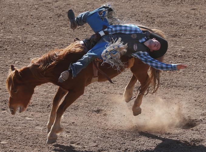 2016 Tucson Rodeo