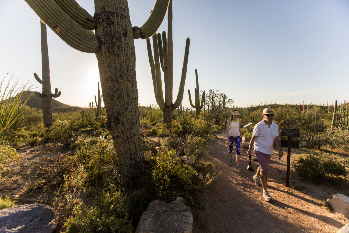 Saguaro National Park West