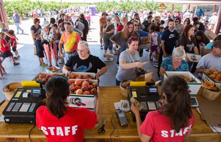 Peach Mania at Apple Annie's