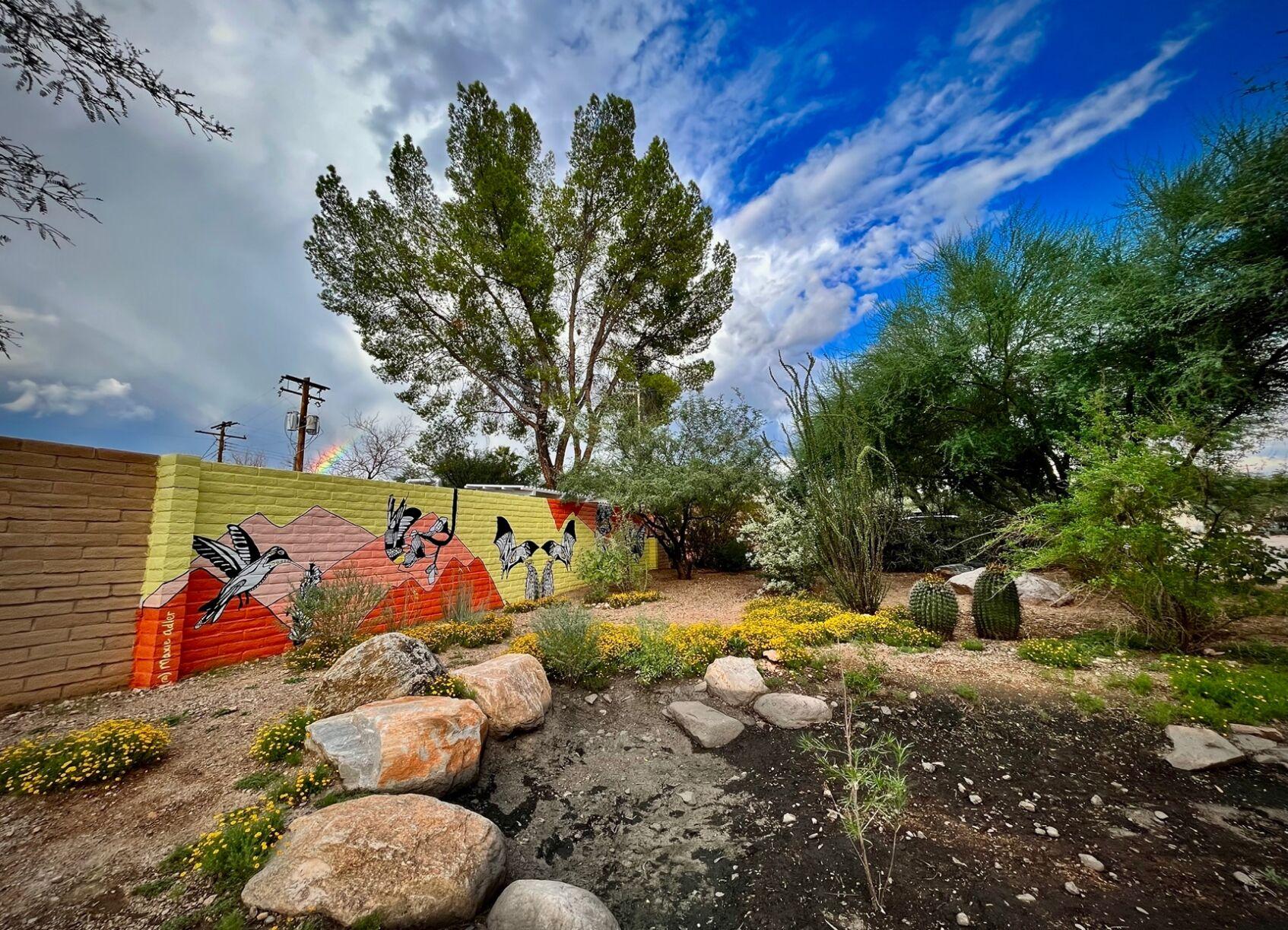 Tucson's Blenman Elm neighborhood is opening its doors for home, garden tour