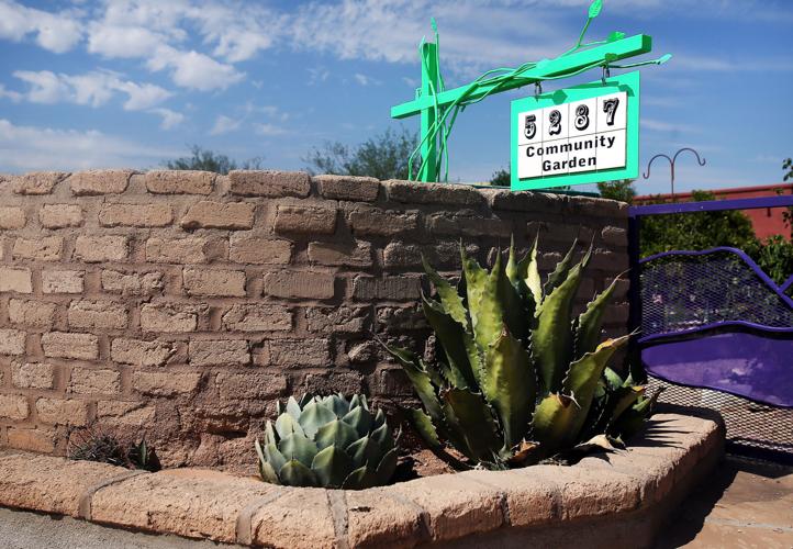 Civano Community Garden