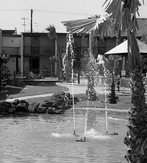 Seniors to take Smuggler's spot  