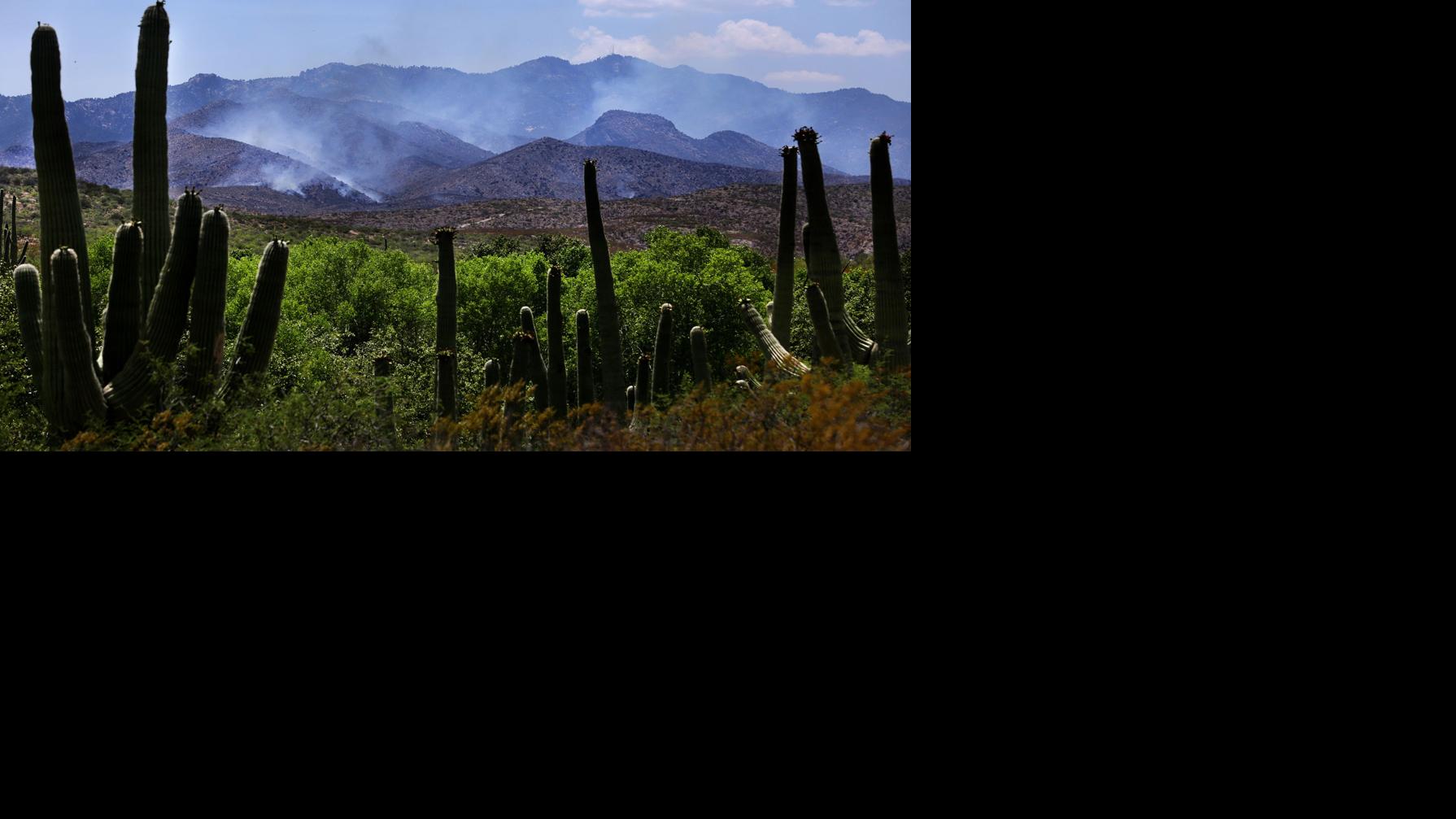 Afternoon storms help fight Burro Fire in Catalina Mountains | Local