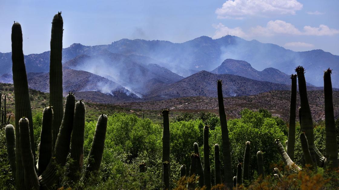Afternoon storms help fight Burro Fire in Catalina Mountains | Local