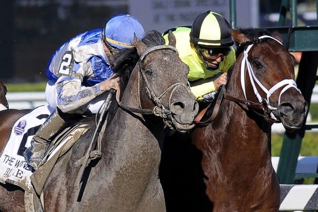 Blame's trainer has the dirt: Zenyatta 'beatable'   