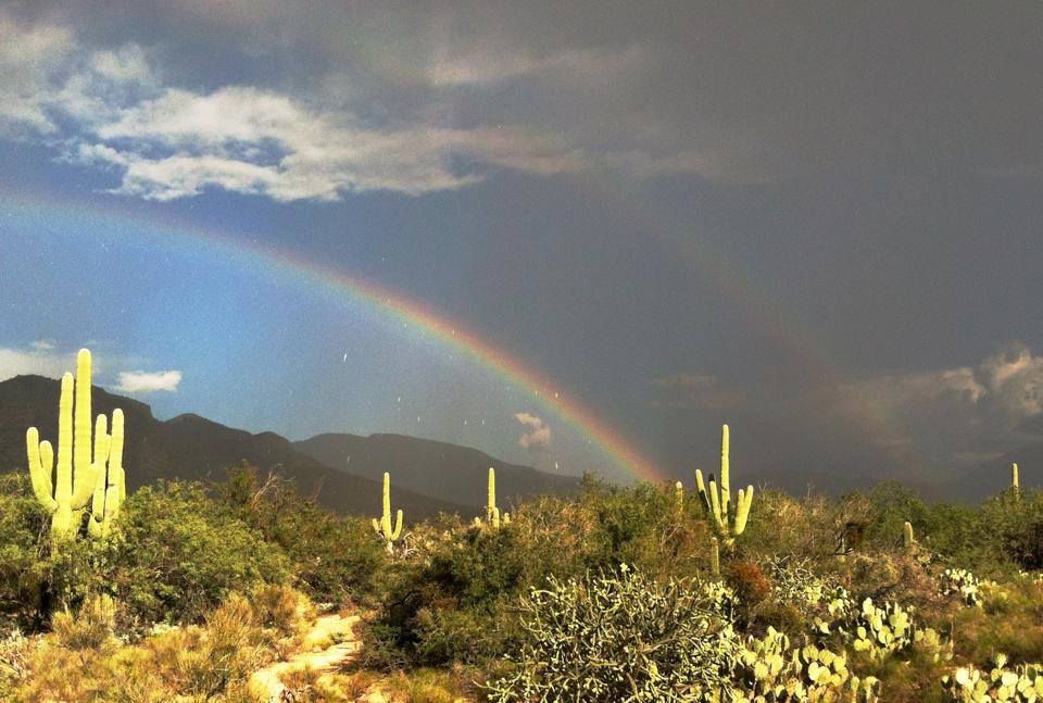 Photos: Vibrant rainbows spotted in Tucson  Outdoors and Events 