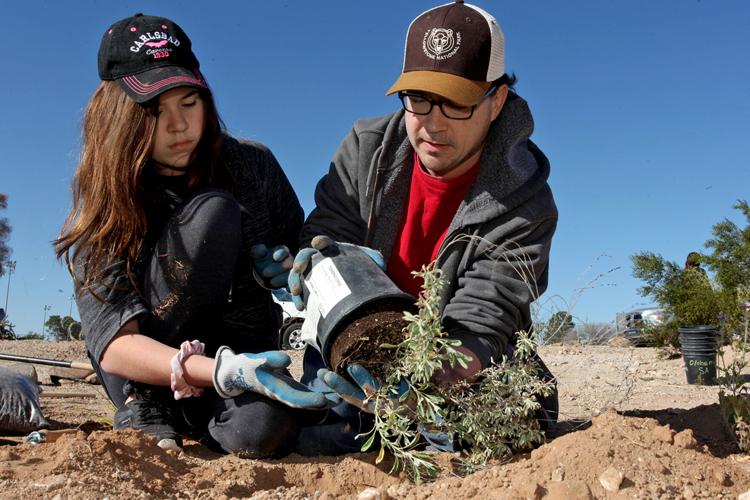 Palo Verde Park Neighborhood Association