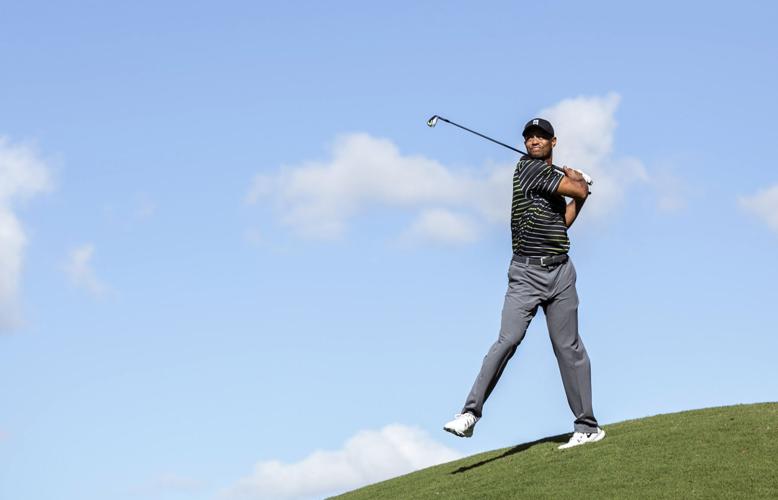 2014: World Challenge Golf