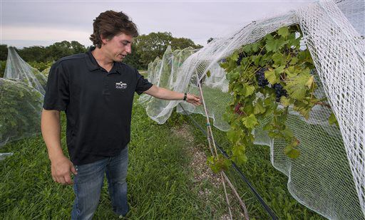 Cider becomes big business for Palmyra winemakers