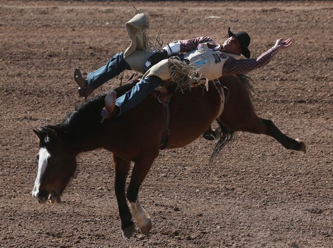 2016 Tucson Rodeo