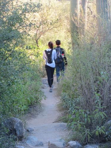 Hikers in Ventana Canyon