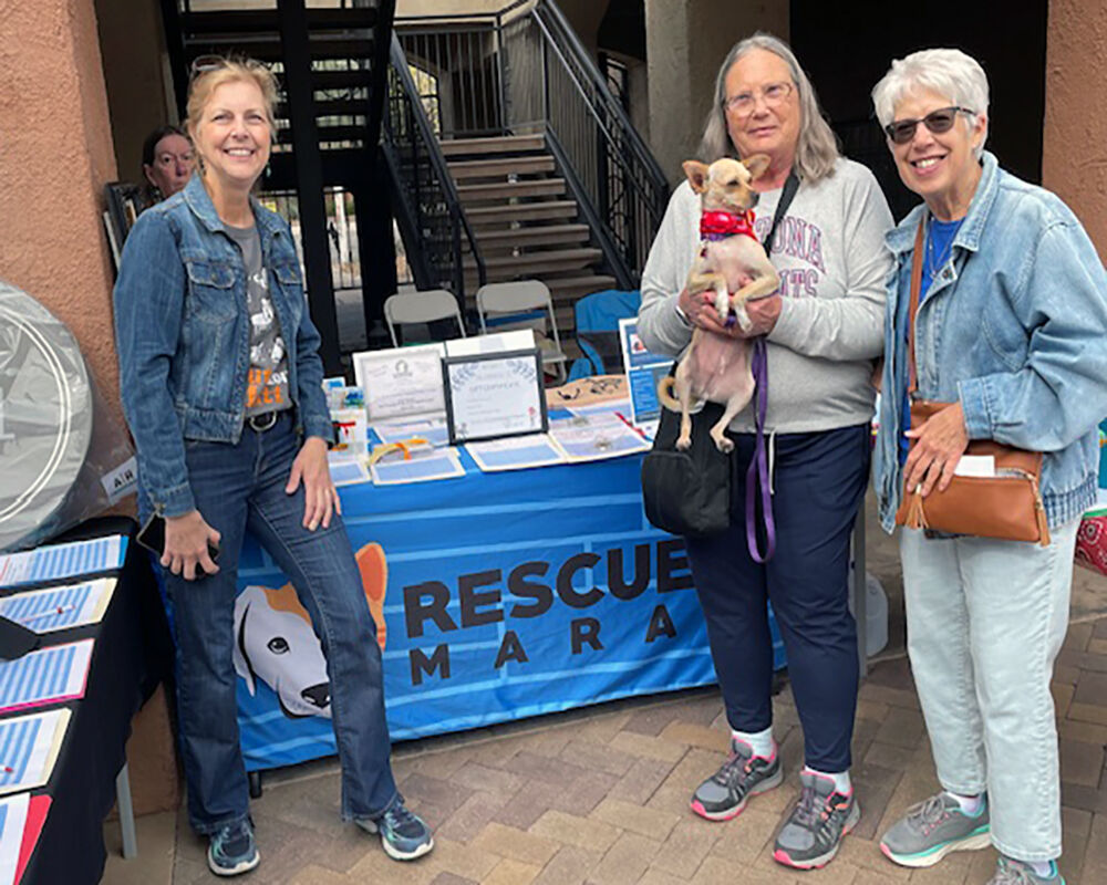 Arts event Saturday in Tucson gives a nod to rodeo weekend