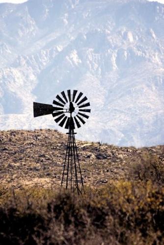 Homes may overtake old ranch  