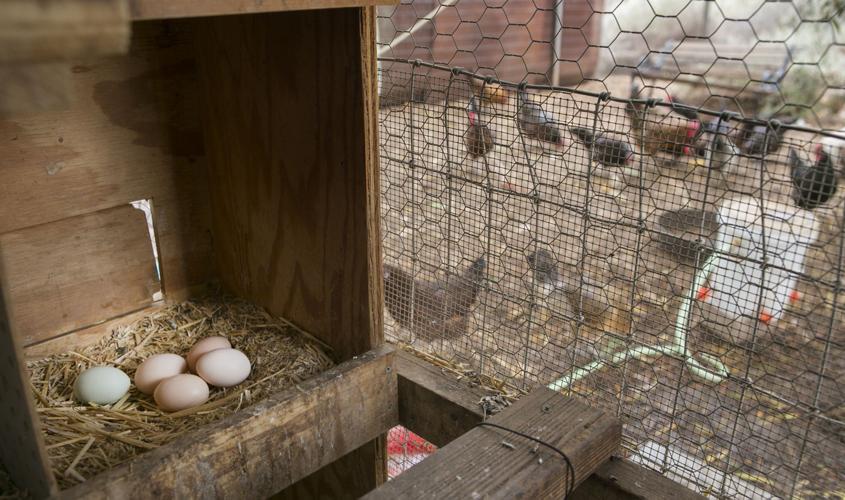 Sonora Cohousing Community