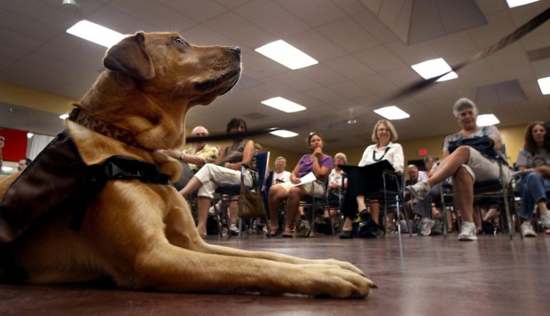 Canine (and human) volunteers aim to help children, sick, aging    