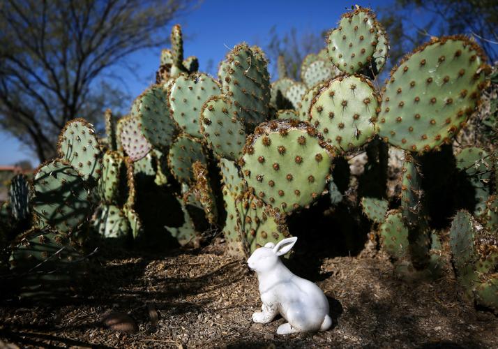 21st Annual Home Garden Tour