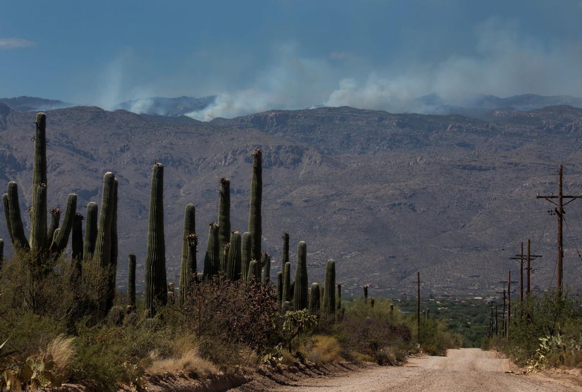 Bighorn Fire