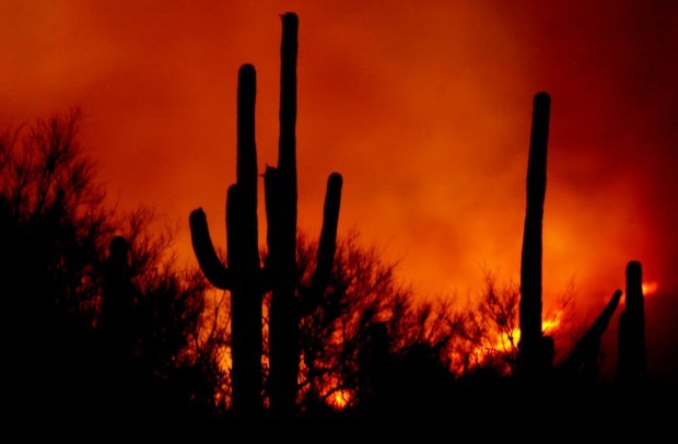 Tales from the Morgue:  Summerhaven endangered by fire