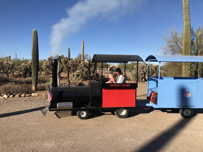Dykman Train