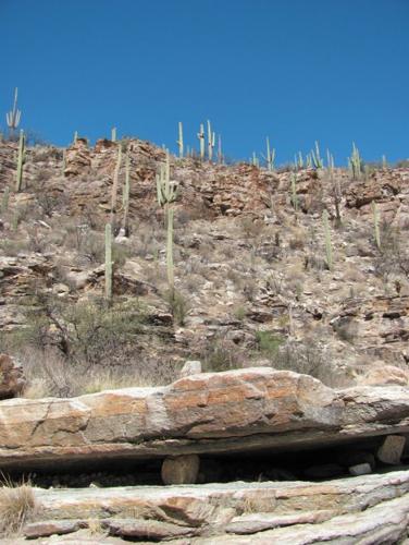 Milagrosa measures up   