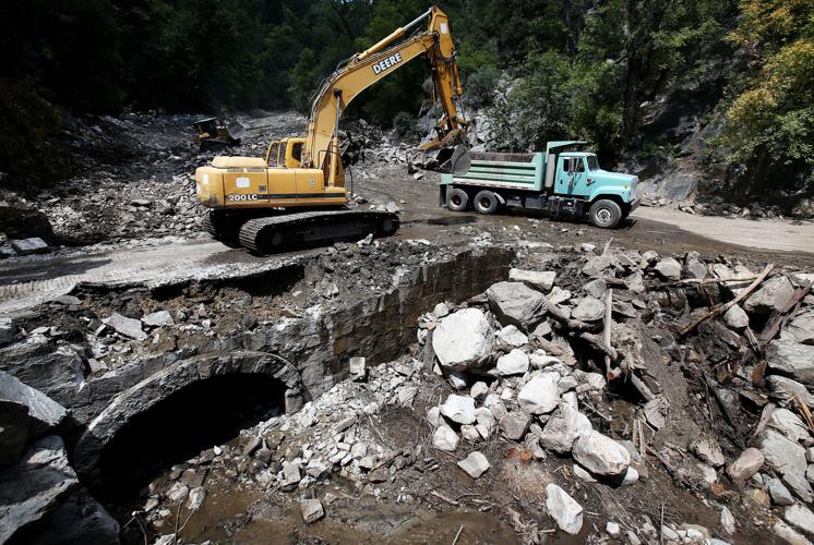 Frye Fire recovery on Mt. Graham