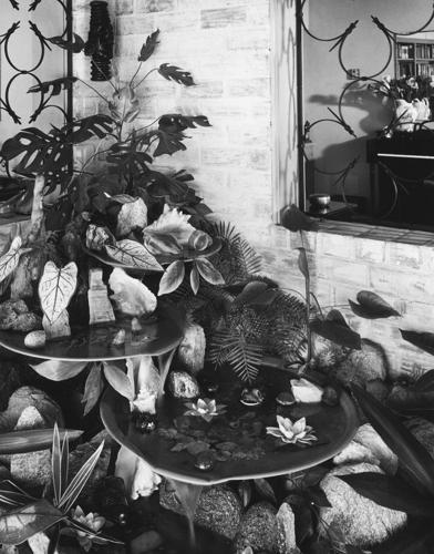 1960 photos: This home stresses livability