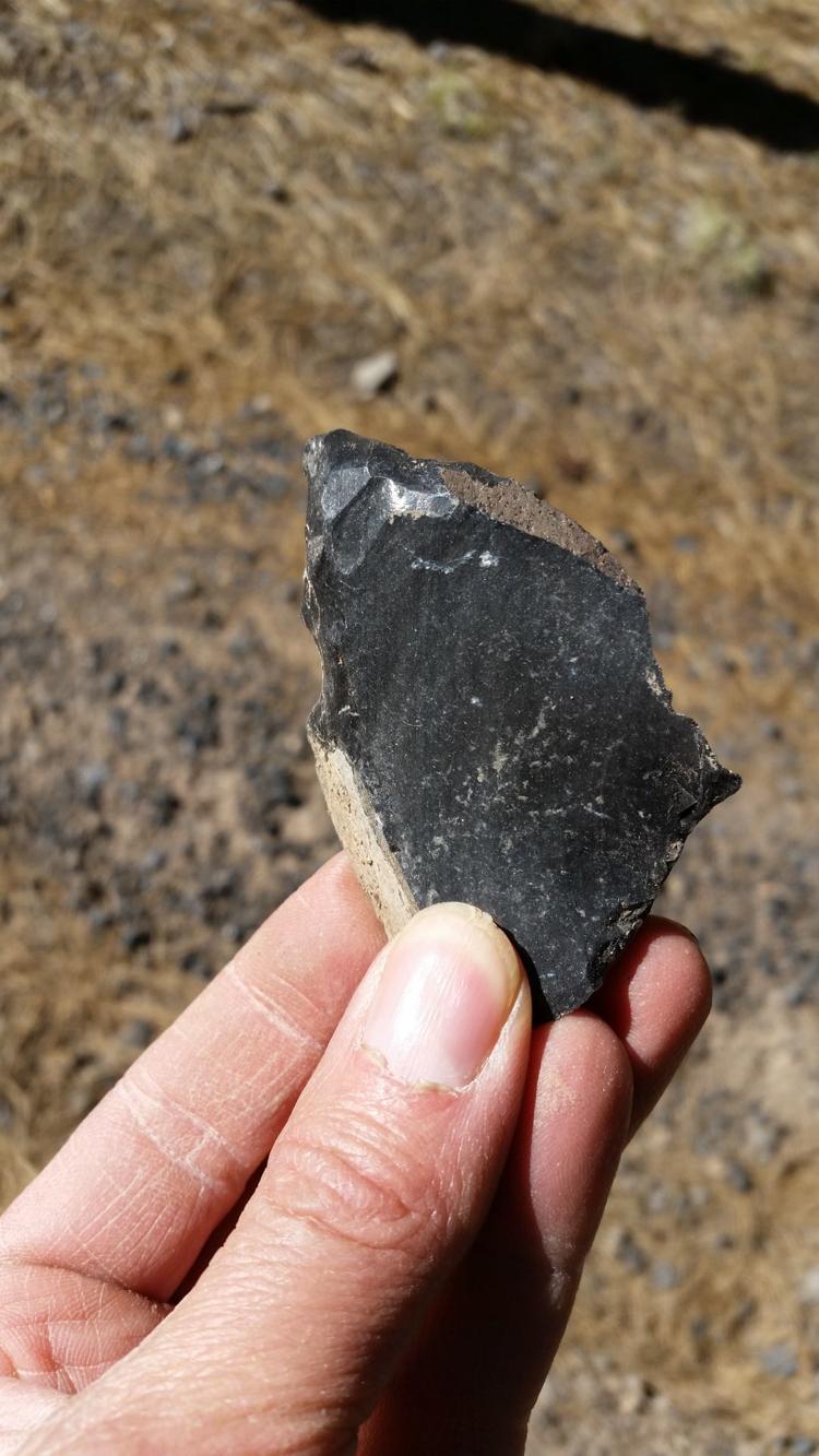 Mine Tales: Volcanic fields in northern Arizona yield obsidian gemstones