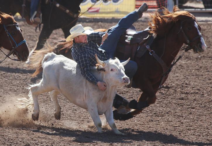 2016 Tucson Rodeo