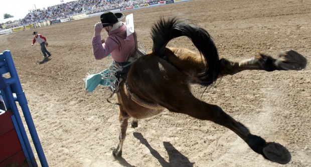 La Fiesta De Los Vaqueros: Bail taking it easy: 'only' saddle broncs    