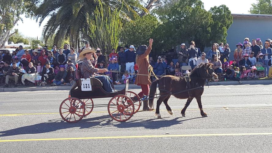 2017 Tucson Rodeo Parade entries