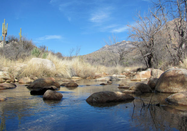 Catalina Park has it all    