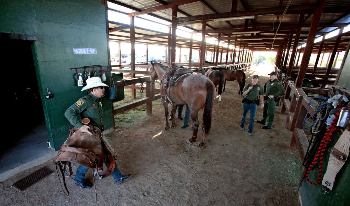 U.S. Border Patrol horse unit