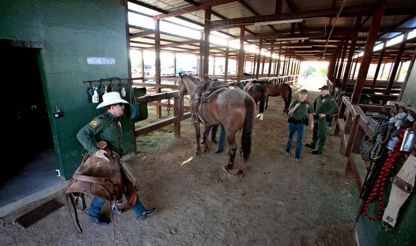U.S. Border Patrol horse unit
