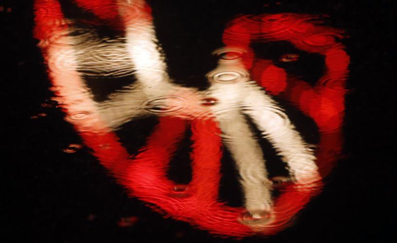 65th Annual Winterhaven Festival of Lights