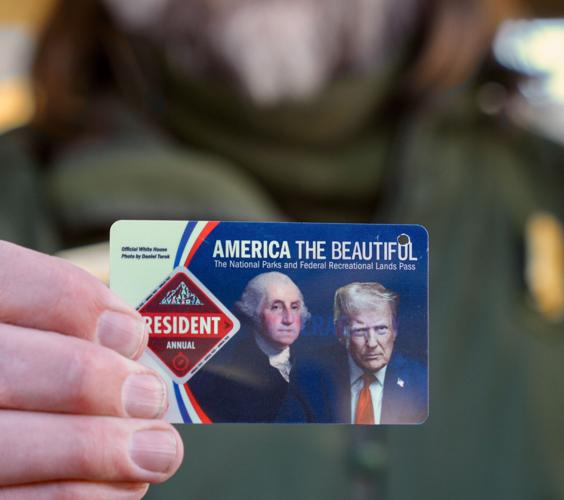 Bid to put Trump's face on money, more ramps up