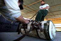 Saguaro National Park