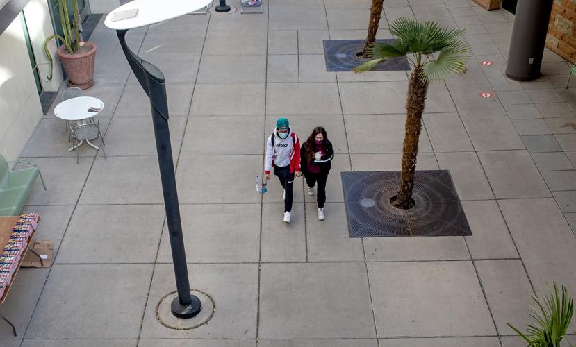 University of Arizona campus