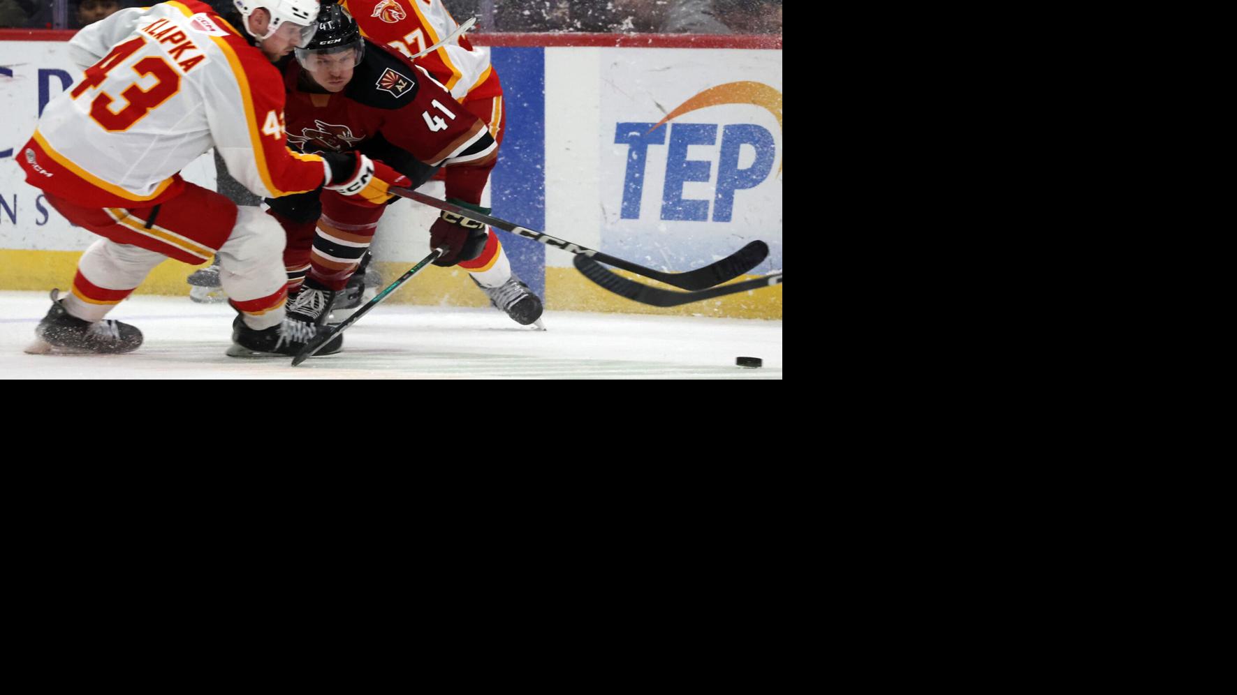 Tucson Roadrunners F Poganski: From tryout to AHL captain