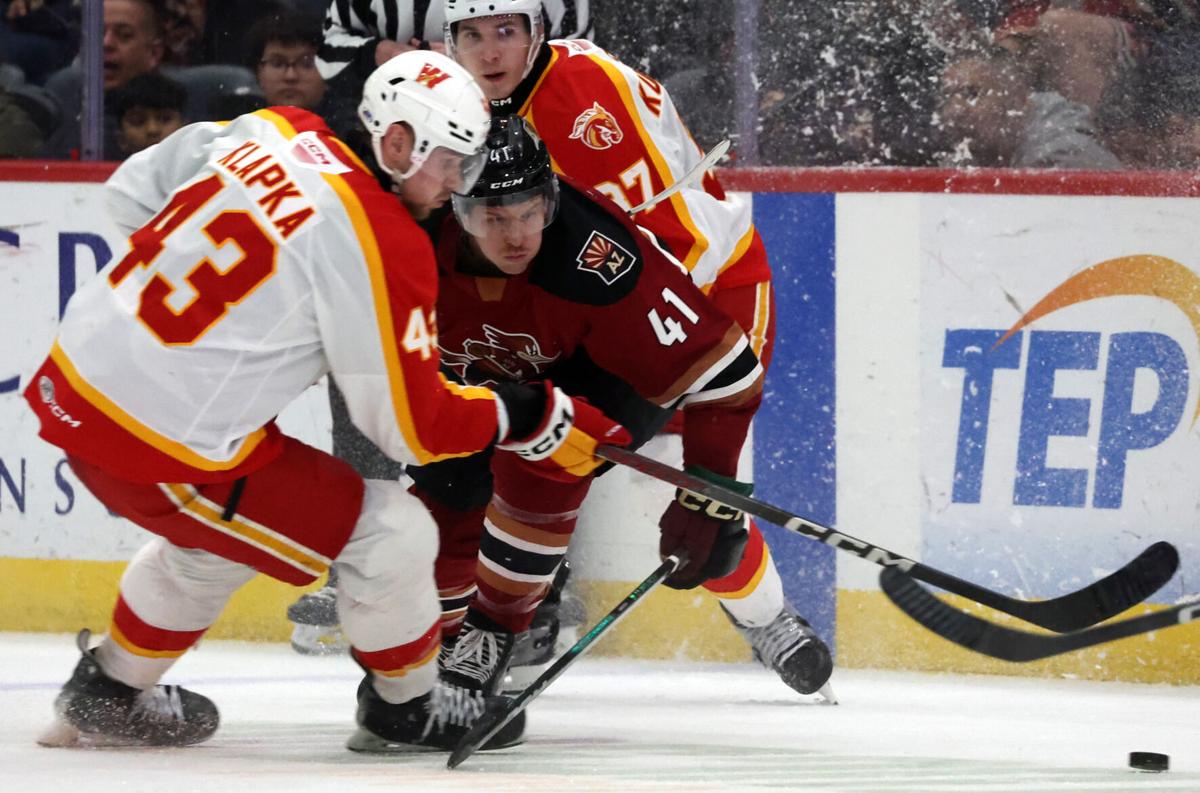 Roadrunners vs Calgary, AHL hockey | March 5, 2024