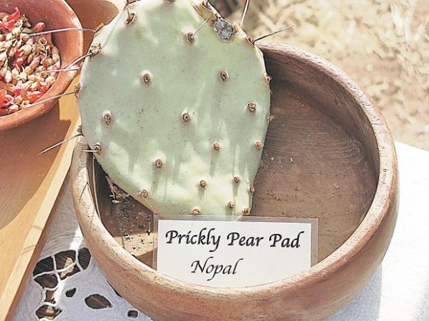 Directory lists area producers  