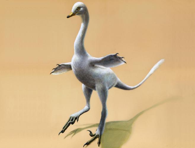 Duck Dinosaur
