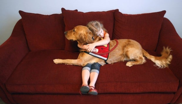 Courthouse dog will comfort kids as they go through a stressful time    