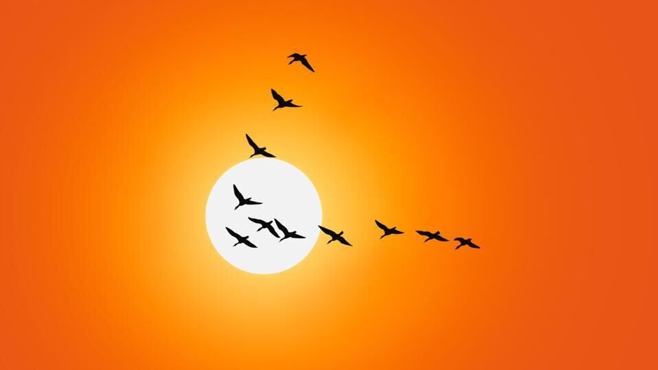 Transitory Inflation: A Short History