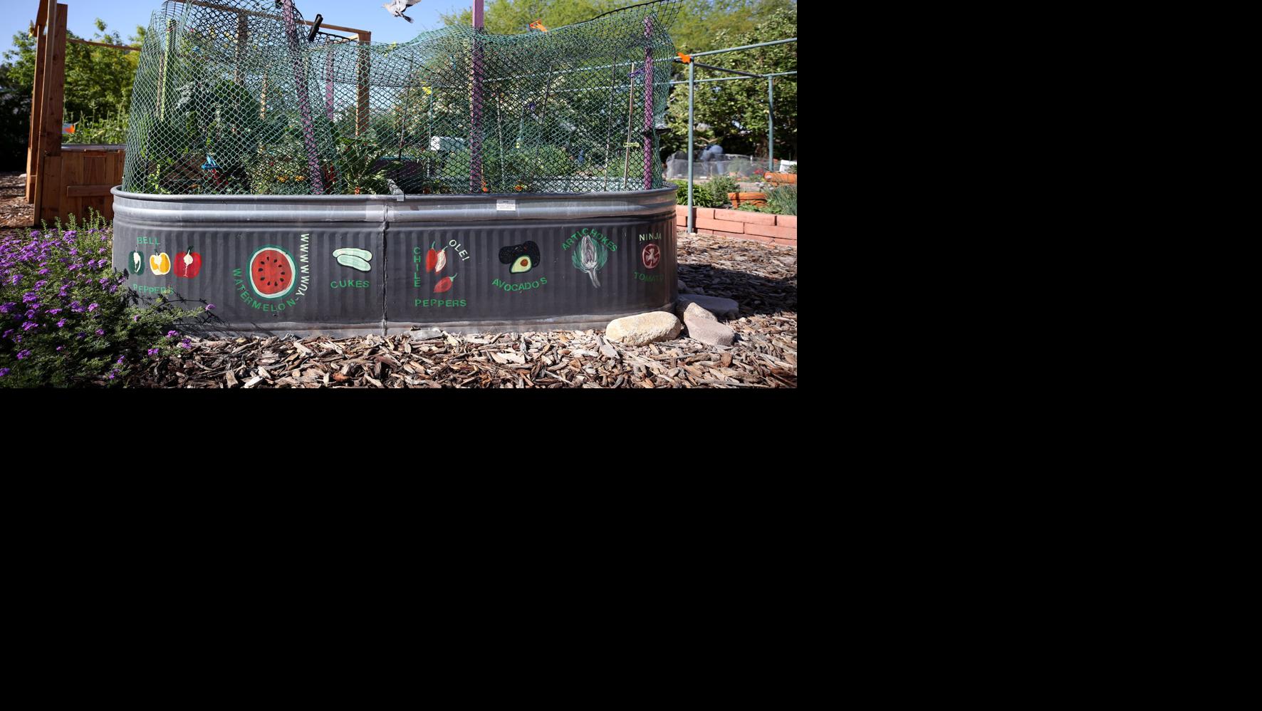 Tucson Gardening and Home March 4-10 | Home & Garden | tucson.com