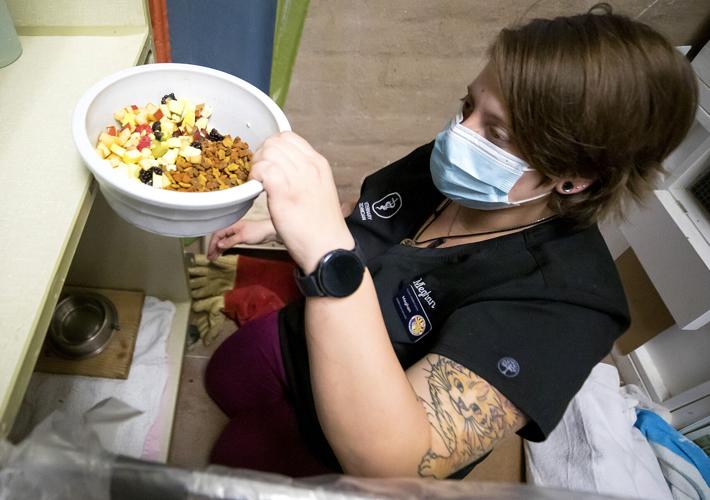 Tucson Wildlife Center