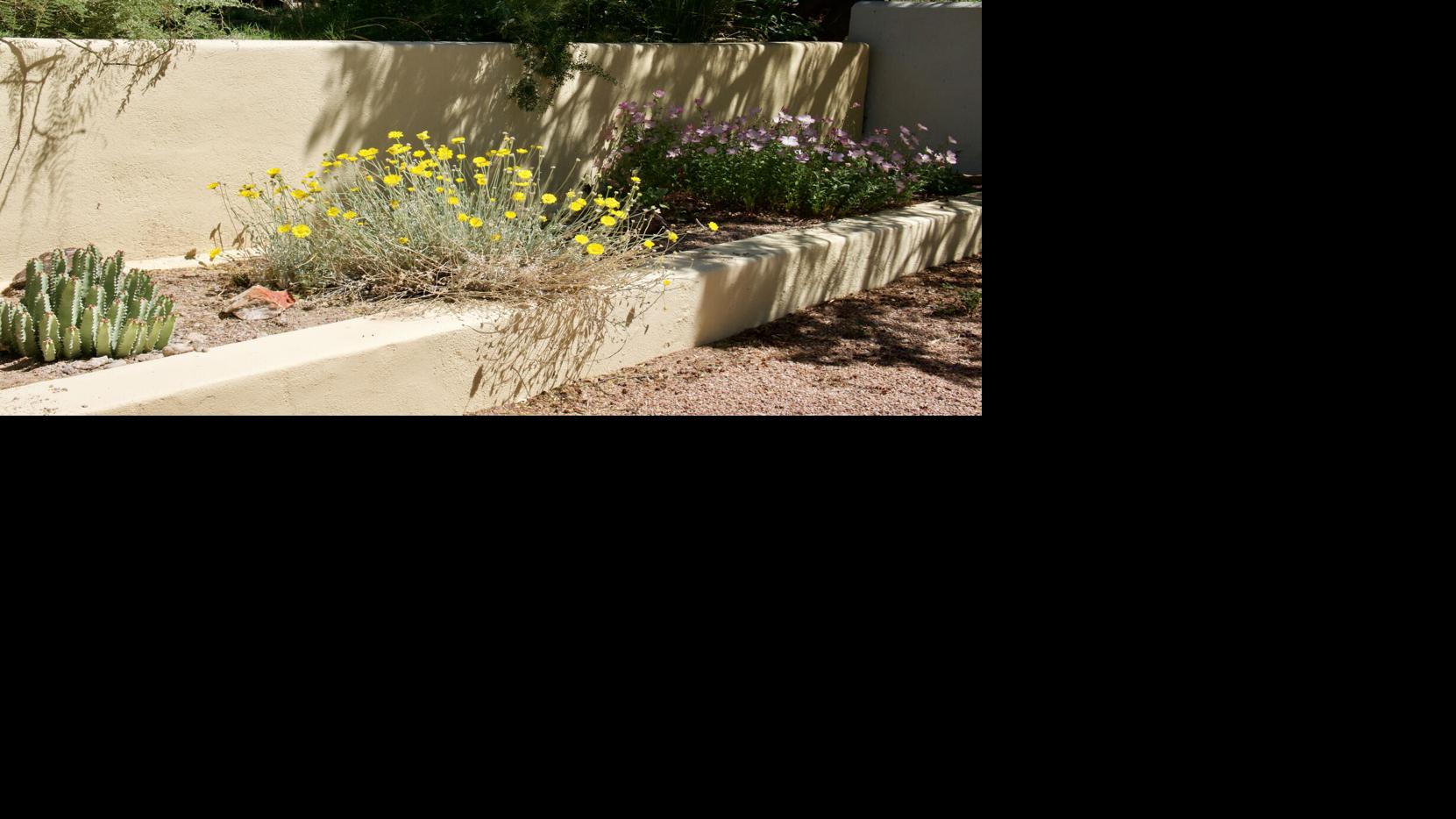 Making garden microclimates work for you in your Tucson yard