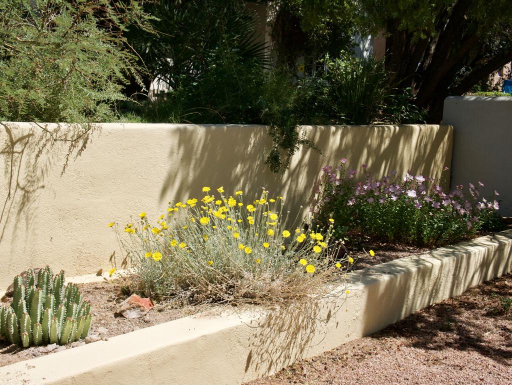Choosing the right mulch for your Tucson garden